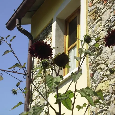 Bed & Breakfast Il Girasole *