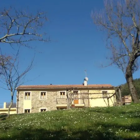 Il Girasole *